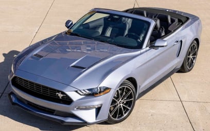 Ford Mustang 5.0l V8 GT500 SHELBY KIT (Grey), 2020 for rent in Dubai