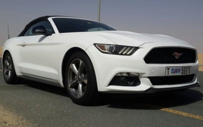 Ford Mustang Convertible (White), 2016 for rent in Dubai